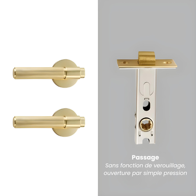 https://cdn.shopify.com/s/files/1/1012/9014/8165/files/2_f0fdfc11-198d-425f-94cd-3803967397b8.png?v=1772581903