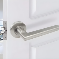 Poignée de Porte Intérieure Inox Brossé, Béquille Plate sur Rosace, vue 2