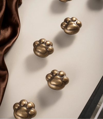 Univers des Poignées Bouton de Meuble Patte de Chat Laiton Or Brossé
