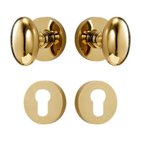 Bouton de Porte Ovale Doré Brillant en Laiton sur Rosace, sans Serrure