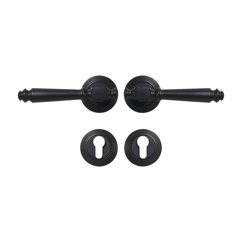 Poignée de Porte Noire Classique en Laiton Massif sans Serrure, sur Rosaces