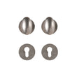 Bouton de Porte Ovale Laiton Argent Vieilli sur Rosaces, sans Serrure