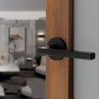 Poignée de Porte Coulissante Inox sur Rosace, Lot de 2, 6 Finitions