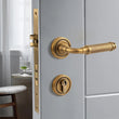 Poignée de Porte Ancienne en Laiton Massif Doré avec Serrure