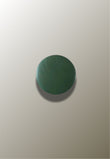 Patère Murale Ronde en Bois Vert Foncé, Disque de 6,5 à 17 cm